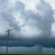 powerlines cross a gray sky full of clouds, with rain falling in the distance