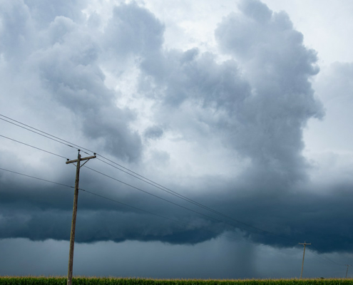 powerlines cross a gray sky full of clouds, with rain falling in the distance