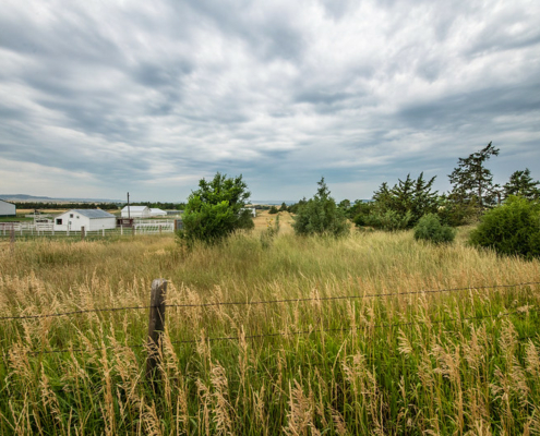 tall grass and wire fence under cloudy sky, with trees and white farm buildings in background