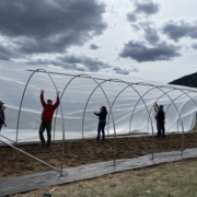 four people in silhouette put plastic on a hoop-house frame under cloudy skies