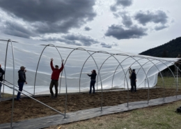 four people in silhouette put plastic on a hoop-house frame under cloudy skies