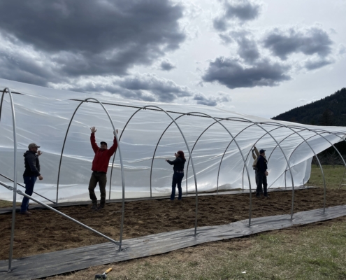 four people in silhouette put plastic on a hoop-house frame under cloudy skies