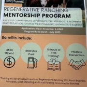 Flyer for Regenerative Ranching Mentorship Program with photo of cattle at top.