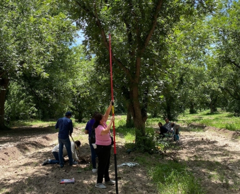 researchers use measuring equipment while standing under a tree in the shade