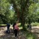 researchers use measuring equipment while standing under a tree in the shade