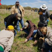 people crouch and stand in a field around a crouched person examining plants in a sampling hoop