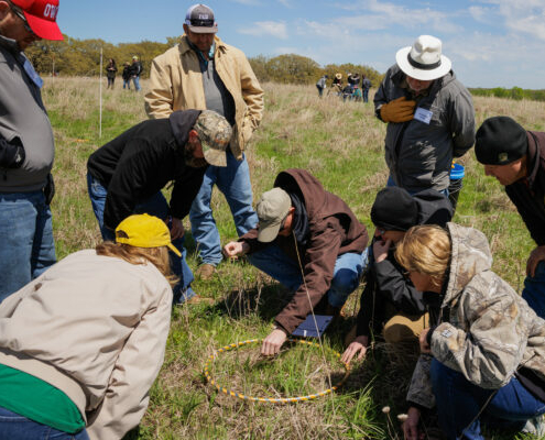 people crouch and stand in a field around a crouched person examining plants in a sampling hoop