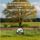 Farmers' Guide to County Committee Elections in the USDA Farm Service Agency superimposed on photo of field with large tree and blue sky with clouds