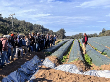 Group stands in field where raised beds are covered in plastic mulch