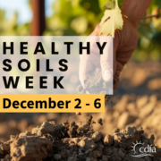 Text Healthy Soils Week December 2-6 superimposed on image of hand dropping loose soil onto pile of soil.