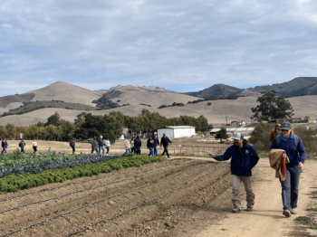 People walking around a field with mountains in background