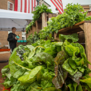 greens displayed at a farmers market with a person and American flags in the background