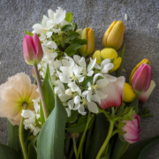 bouquet of flowers against a gray background