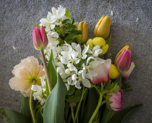 bouquet of flowers against a gray background