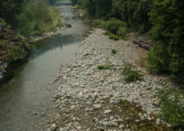 a stream runs through evergreen forest under smoky sky