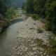 a stream runs through evergreen forest under smoky sky