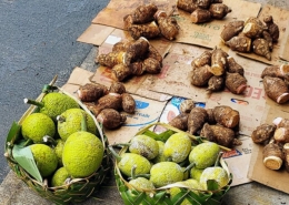 breadfruit and taro, piled in baskets and on cardboard on the pavement