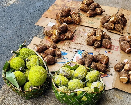 breadfruit and taro, piled in baskets and on cardboard on the pavement