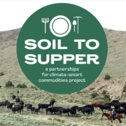 Soil to Supper logo over cattle on rangeland with a person on horseback