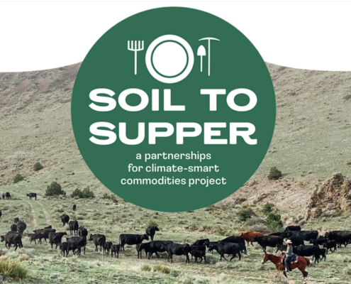 Soil to Supper logo over cattle on rangeland with a person on horseback