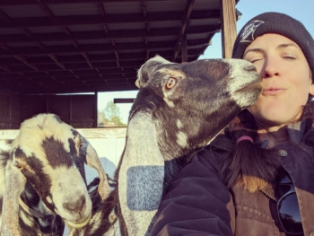 Photo of two goats, one on the left looking toward the camera, one in the middle turned sideways nuzzling Danielle, who sits at the far right of the frame. 