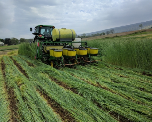 Photo of equipment in the field that is rolling and crimping annual rye and planting soybeans in one pass.