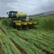 Photo of equipment in the field that is rolling and crimping annual rye and planting soybeans in one pass.