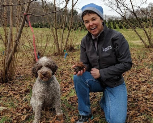 a person kneels next to a dog sitting outdoors in fallen leaves among bushes