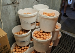 a stack of plastic buckets filled with brown eggs