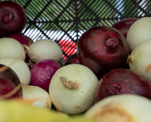 close up of red and white onions
