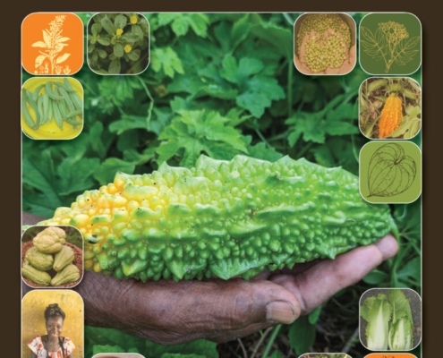 graphic cover of ethnic vegetable guide with hand holding spiky green fruit