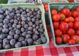 cardboard containers of blueberries and cherry tomatoes on a red and white tablecloth
