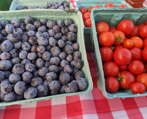 cardboard containers of blueberries and cherry tomatoes on a red and white tablecloth