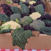 broccoli, cauliflower and greens in boxes