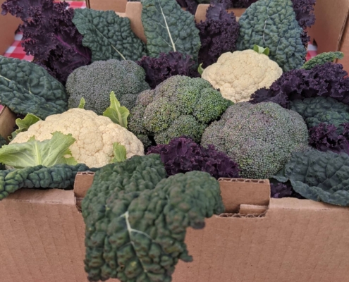 broccoli, cauliflower and greens in boxes