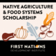 Native Agriculture and Food Systems Scholarship logo with line drawings of vegetables