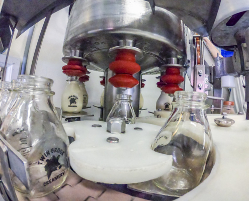 glass milk bottles being filled by machinery