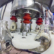 glass milk bottles being filled by machinery