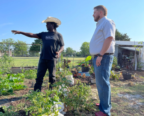 Two people stand talking outdoors under blue sky among crop plants.