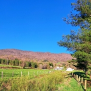 farm fence, fields, and trees under blue sky