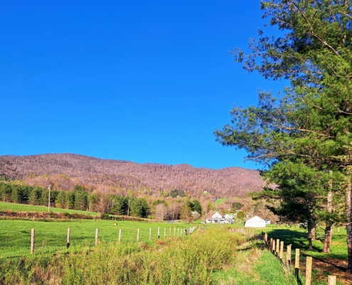 farm fence, fields, and trees under blue sky