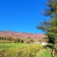 farm fence, fields, and trees under blue sky