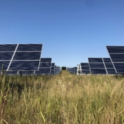 rows of solar panels under blue sky and above dry vegetation