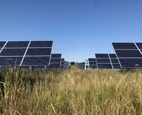 rows of solar panels under blue sky and above dry vegetation
