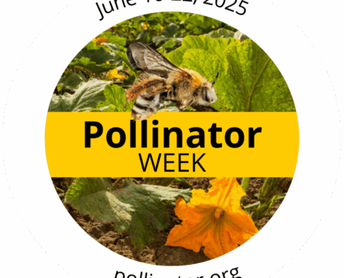 circular Pollinator Week logo, June 16-22, with bee and flower photos