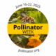 circular Pollinator Week logo, June 16-22, with bee and flower photos
