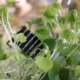 tiny solar power module among plant leaves