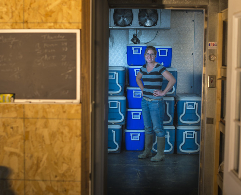 looking through a doorway at a person standing in front of coolers in a produce cooling room