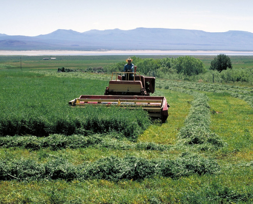 person cutting hay with a swather in front of distant water and mountains under blue sky