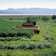 person cutting hay with a swather in front of distant water and mountains under blue sky